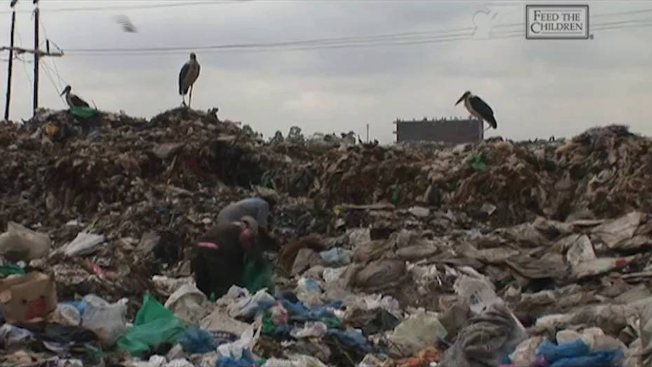 No Food... No Future